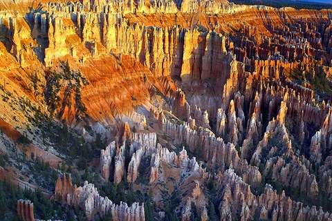 Framed Sunrise At Bryce Point Bryce National Park, Utah Print
