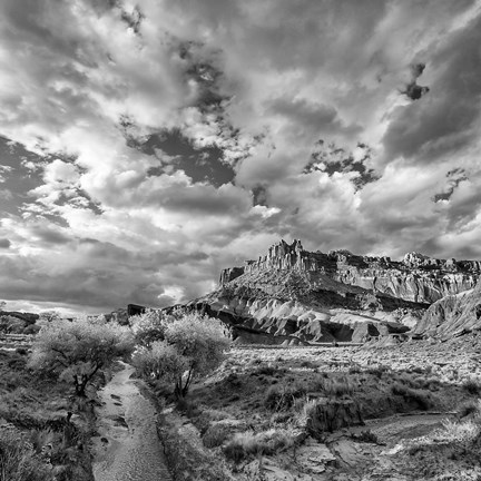 Framed Sulphur Creek, Capitol Reef National Park, Utah (BW) Print