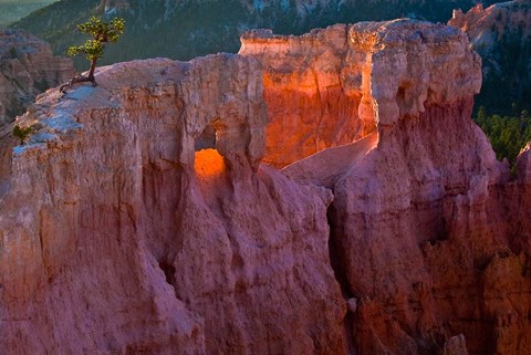 Framed First Light On The Hoodoos At Sunrise Point, Bryce Canyon National Park Print