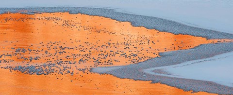 Framed Colorado River Ice And Canyon Wall Reflections, Moab, Utah Print