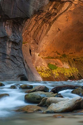 Framed Autumn Foliage Inside The Narrows, Utah Print