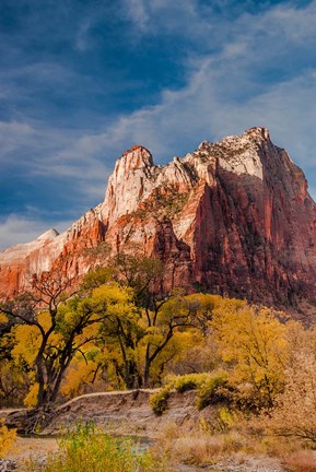 Framed Autumn Foliage In Front Of The Sentinel, Utah Print