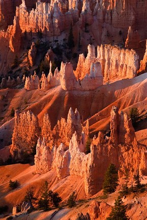 Framed Sunrise Point Hoodoos In Bryce Canyon National Park, Utah Print