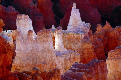 Framed Hoodoos At Sunrise Point, Bryce Canyon National Park, Utah Print