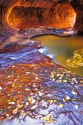 Framed Subway Along North Creek With Fallen Leaves, Utah Print