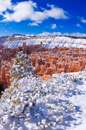Framed Fresh Powder On Rock Formations In The Silent City, Utah Print