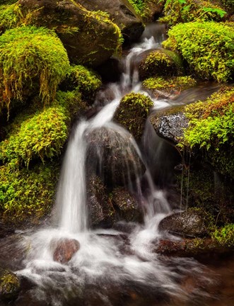 Framed Creek In Sol Duc Valley, Washington Print