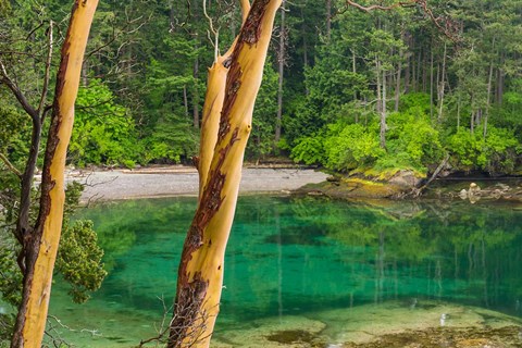 Framed Secluded Bay On Sucia Island, Washington State Print