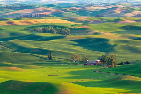 Framed Farmland Viewed From Steptoe Butte, Washington State Print