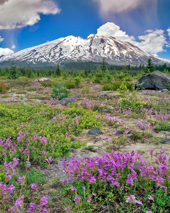 Framed Mount Saint Helens Landscape, Washington State Print