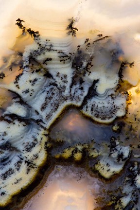 Framed Graveyard Point Plume Print