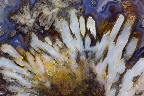 Framed Sagenite Agate Print