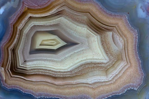 Framed Banded Agate, Sammamish, Washington Print