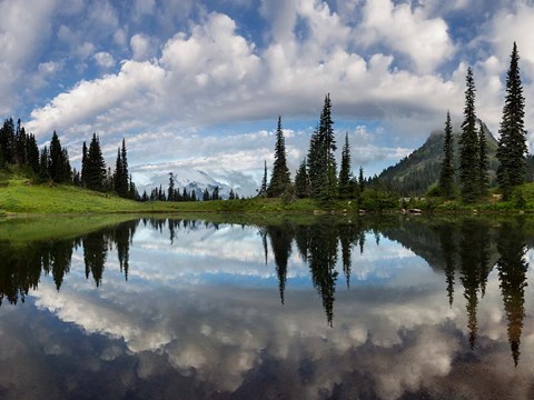 Framed Mt Rainier And Clouds Reflecting In Upper Tipsoo Lake Print
