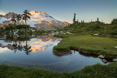 Framed Mt Baker Reflecting In A Tarn On Park Butte Print