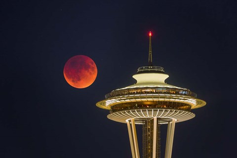 Framed Blood Moon Rises Over The Seattle Space Needle Print