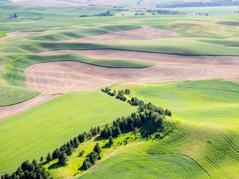 Framed Aerial Shot In The Palouse Region Of Eastern Washington Print
