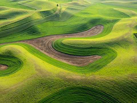 Framed Aerial Of The Palouse Region, Washington Print