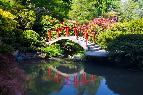 Framed Moon Bridge In The Kubota Gardensm Washington State Print