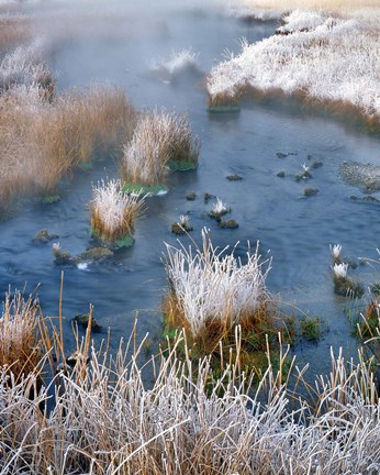 Framed Frost Along White Creek, Wyoming Print