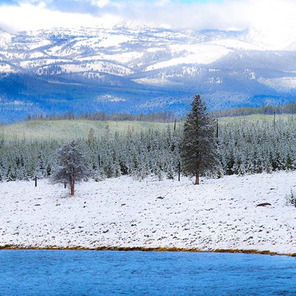 Framed Yellowstone National Park In Winter, Wyoming Print