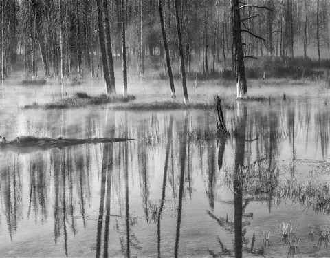Framed Mistry Creek, Wyoming (BW) Print