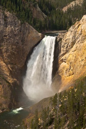 Framed Lower Falls Of The Yellowstone, Lookout Point, Wyoming Print