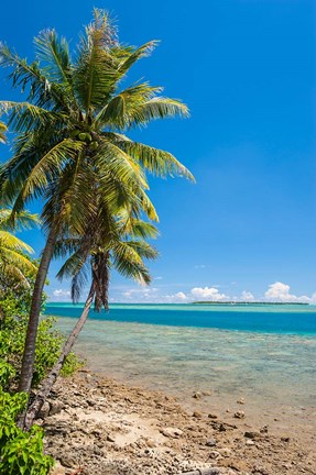 Framed Coast Around Merizo, Guam Print