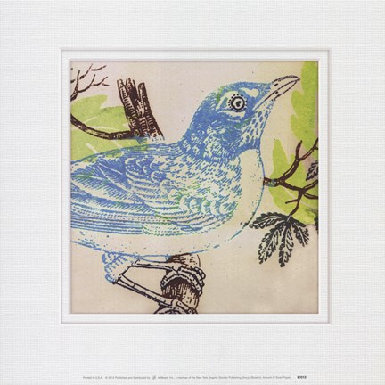 Framed Bluebird Print