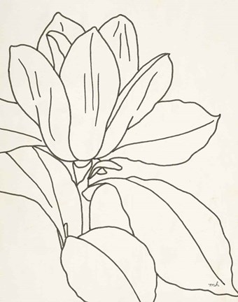 Framed Magnolia Line Drawing v2 Crop Print