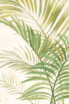 Framed Palms I Bright Print