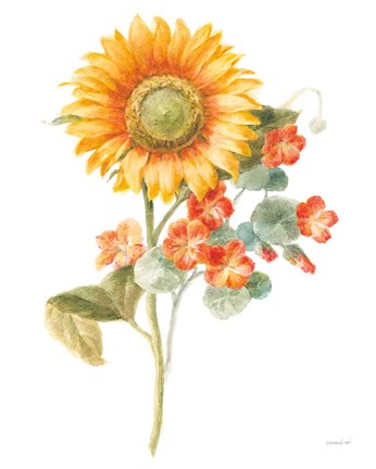 Framed Floursack Autumn IV on White Print