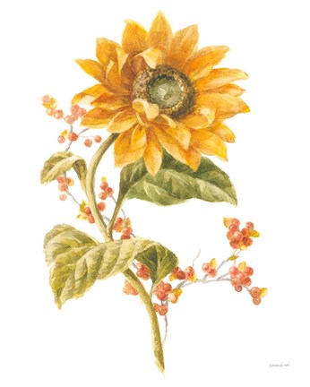 Framed Floursack Autumn I on White Print