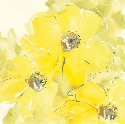 Framed Sunshine Cosmos I Print