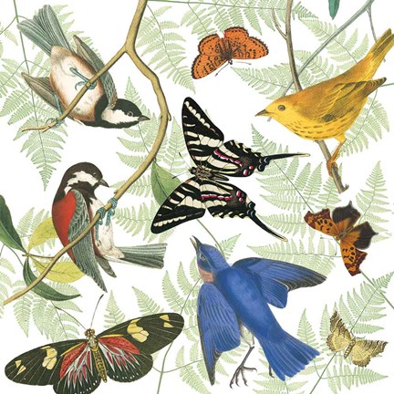 Framed Natures Flight II Print