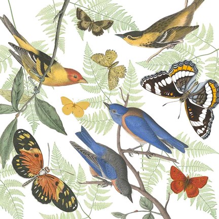 Framed Natures Flight I Print