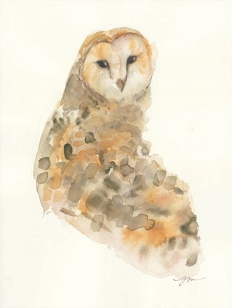 Framed Barn Owl Print