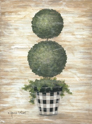 Framed Gingham Topiary Spheres Print