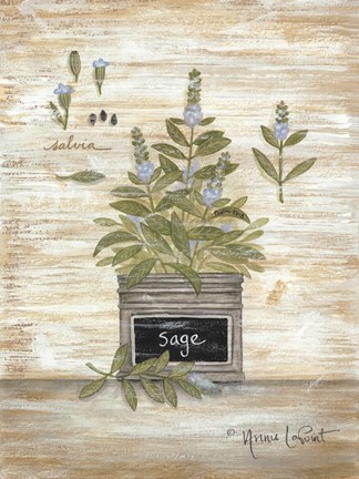 Framed Sage Botanical Print