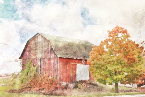 Framed Autumn Maple by the Barn Print