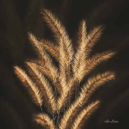 Framed Golden Grass II Print