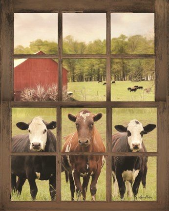 Framed Three Moo View Print