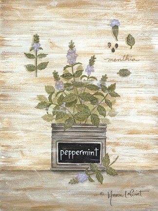 Framed Peppermint Botanical Print