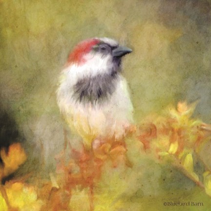 Framed Backyard Bird in Autumn Print
