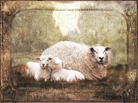 Framed Vintage Ewe and Sleeping Lambs Print