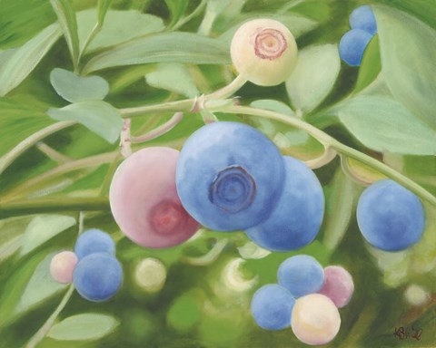 Framed Summer Harvest Print