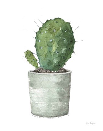 Framed Mixed Greens Succulent VI Print