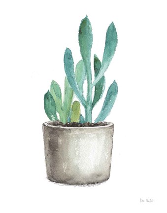 Framed Mixed Greens Succulent V Print