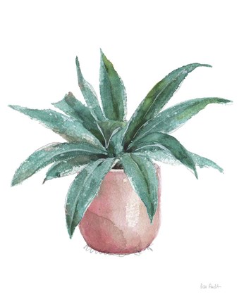 Framed Mixed Greens Succulent I Print