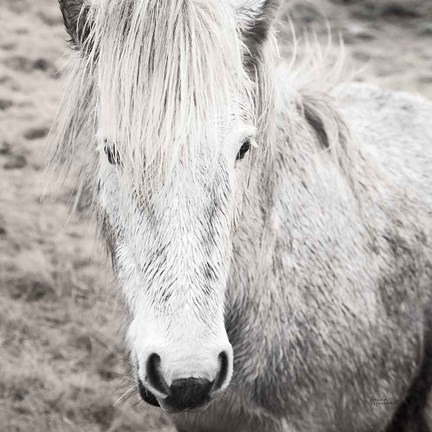 Framed Heida IV BW Print